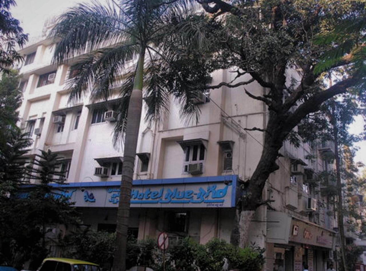 Hotel Blue Bird Colaba Mandve Exterior photo